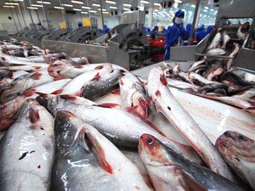 Thượng viện Mỹ thông qua nghị quyết hủy bỏ Chương trình Giám sát cá da trơn đối với Việt Nam  - ảnh 1